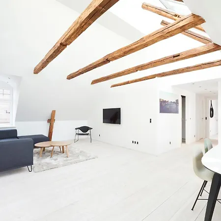 2-bed Penthouse With Elevator And Private Terrace Kopenhagen